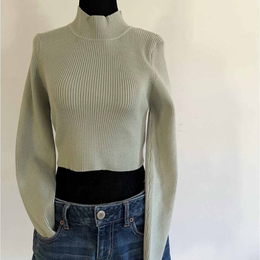Blueblush High Neck Ribbed Crop Long Sleeve Top in Pale Green